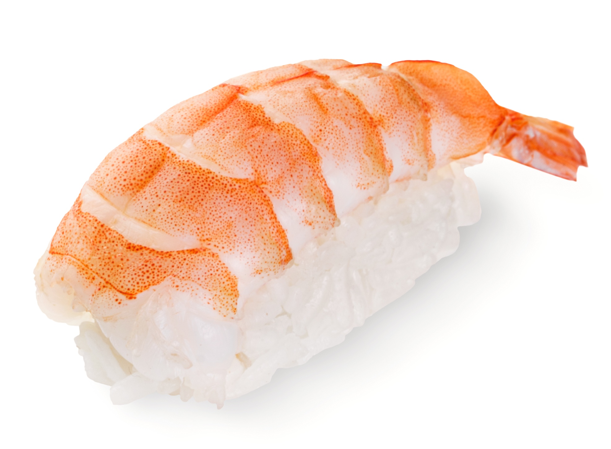 Nigiri prawn